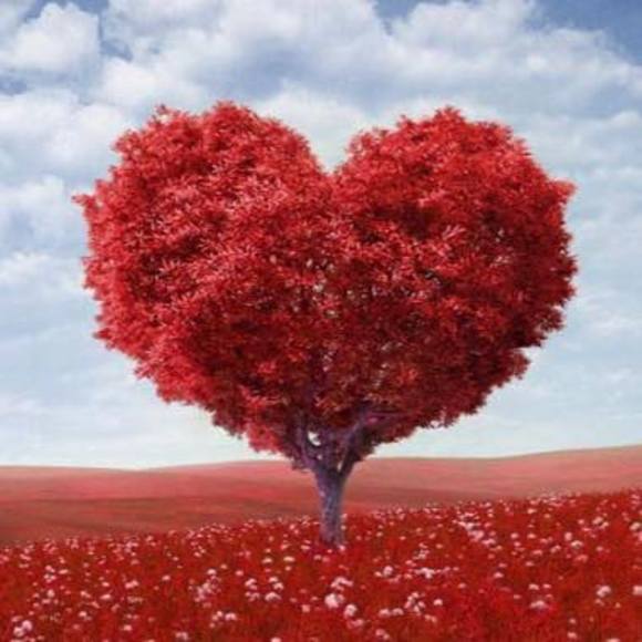 Meet your Posher, Ande - Picture 1 of 1